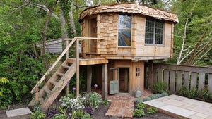 Quirky Mushroom House declared best shed of 2017